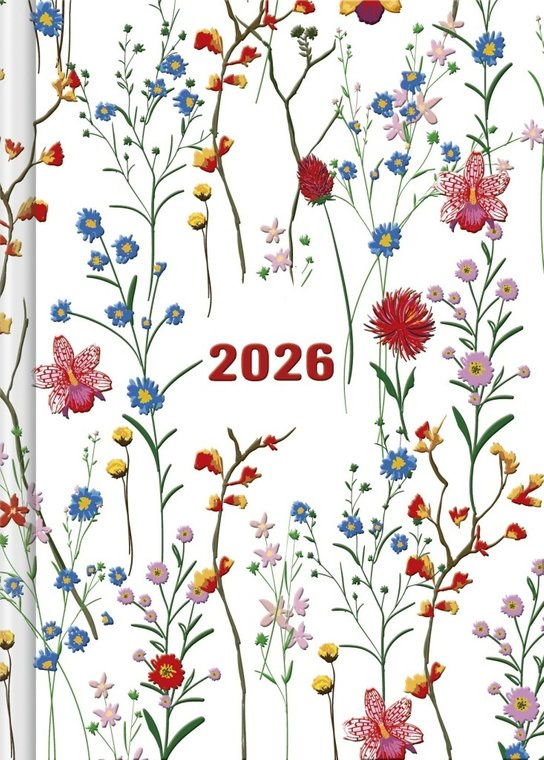 Praktik denní diář Louka 2026