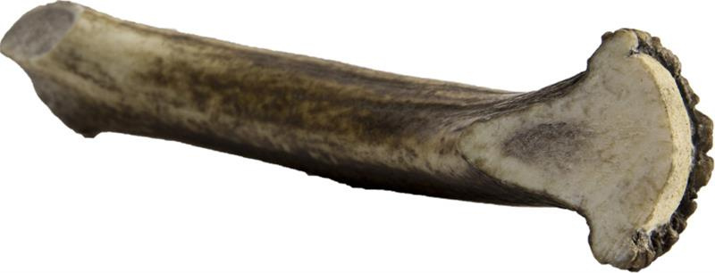 Jelení paroh pro psy MAXI 140-160 g