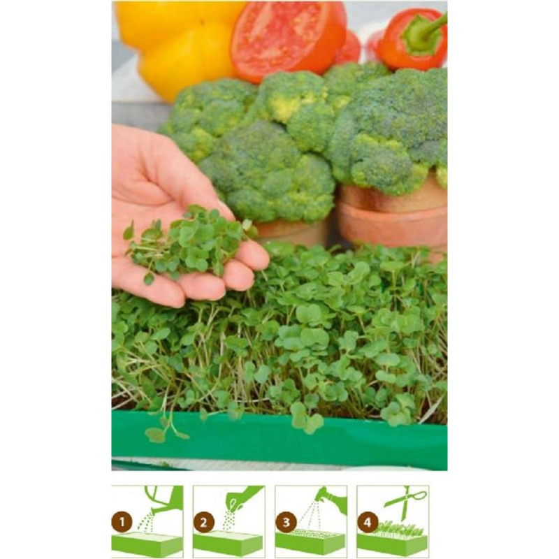 GardenSeed Premium Semínka Mikrozelenina Brokolice, 3 g