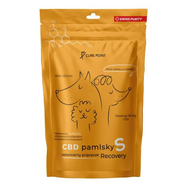 Cure Point CBD Recovery S Pamlsky pro psy 100 g