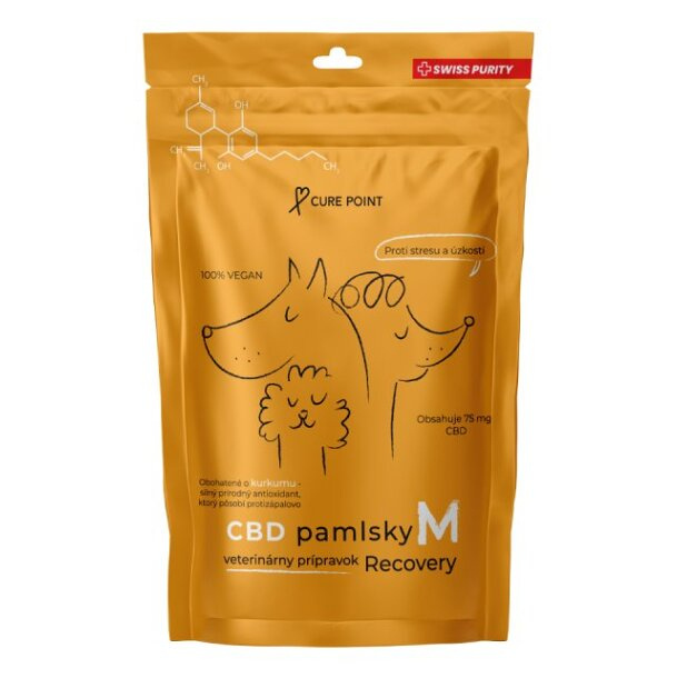 Cure Point CBD Recovery M Pamlsky pro psy 100 g