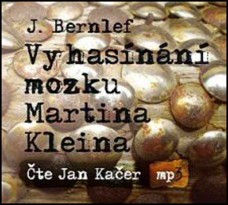 Vyhasínání mozku Martina Kleina - J. Bernlef