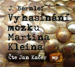 Vyhasínání mozku Martina Kleina - J. Bernlef
