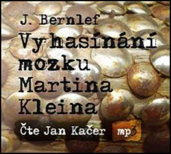 Vyhasínání mozku Martina Kleina - J. Bernlef