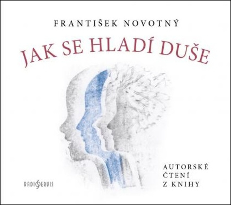 Jak se hladí duše - František Novotný