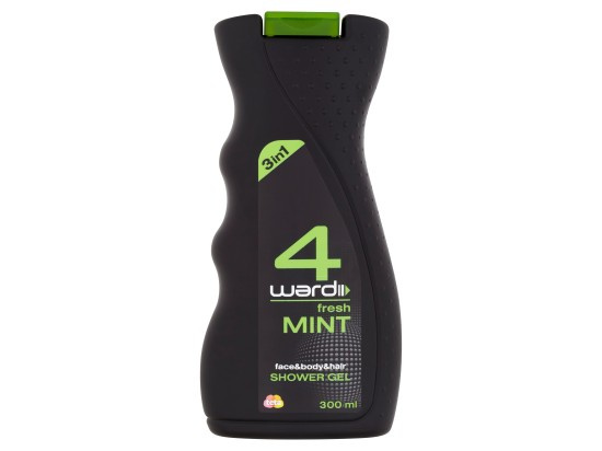 4ward SG 300ml Fresh Mint MEN
