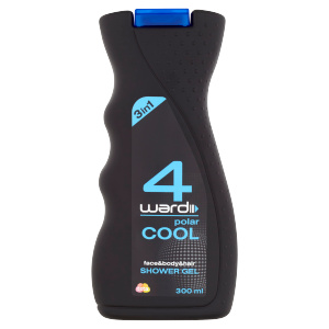 4ward SG 300ml Cool wave MEN