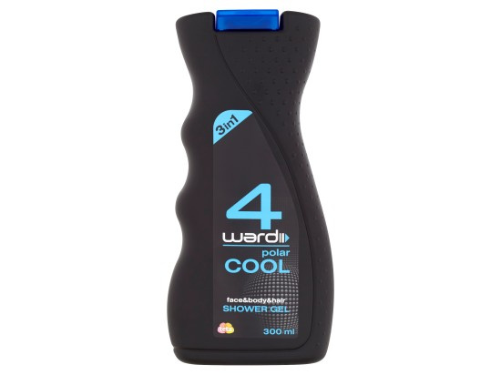 4ward SG 300ml Cool wave MEN