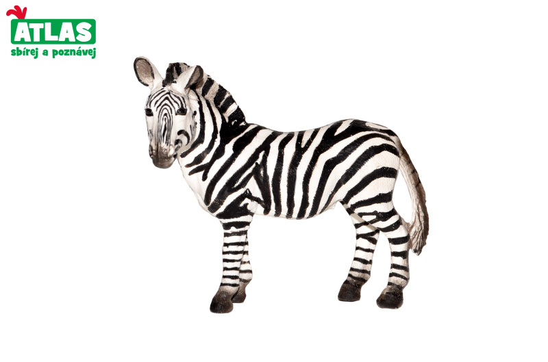 Atlas D Zebra 10 cm