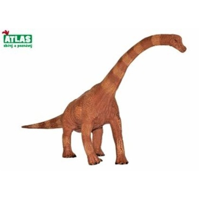 Atlas G Dino Brachiosaurus