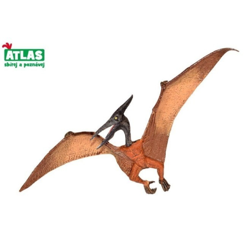 C - Figurka Dino Pteranodon 22 cm