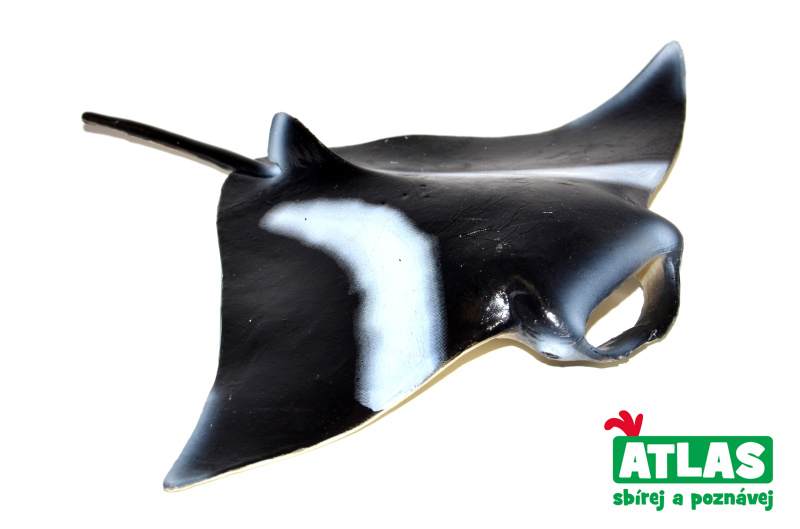 Atlas C Rejnok Manta 12cm