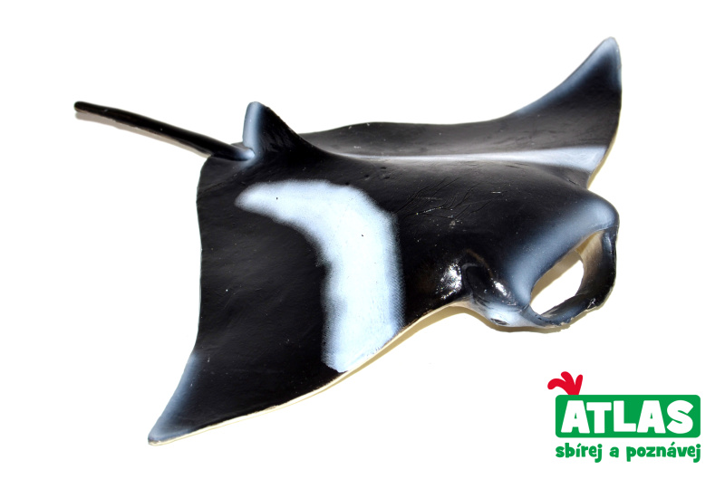 Atlas C Rejnok Manta 12cm