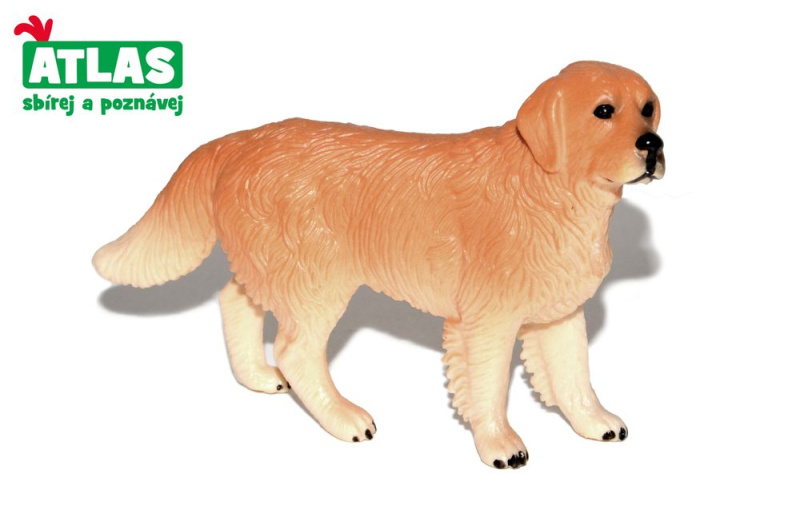 Atlas B Zlatý retrívr 10 cm