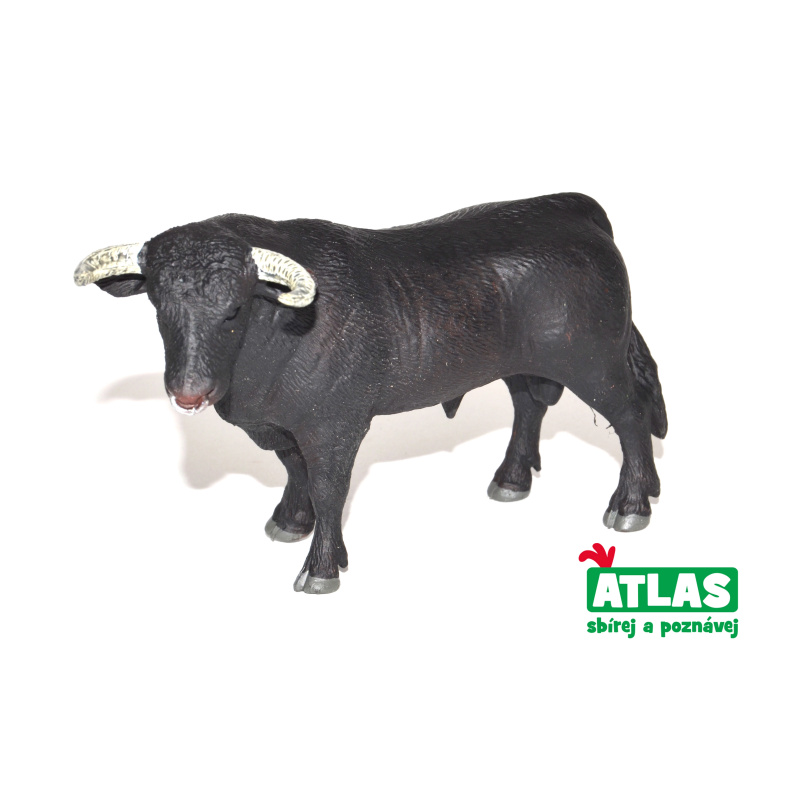 Atlas C Býk