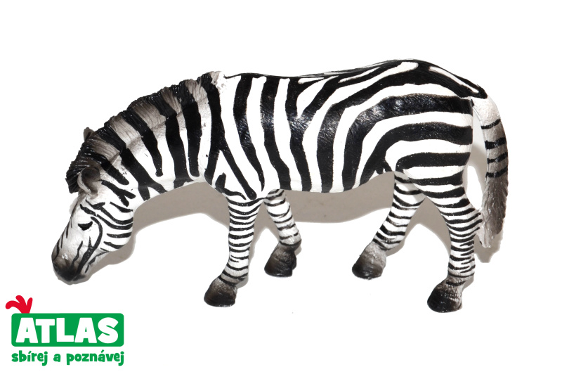 Atlas C Zebra 11 cm