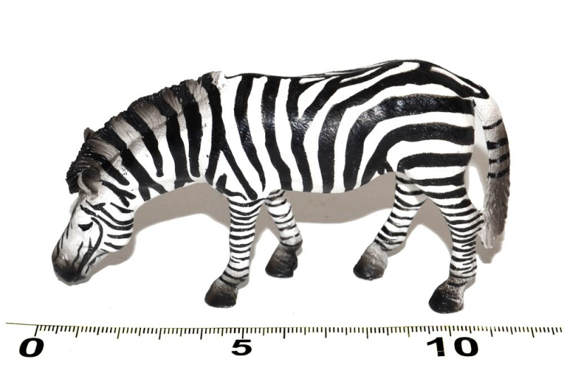 Atlas C Zebra 11 cm