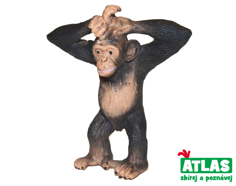 Atlas A Šimpanz 6 cm