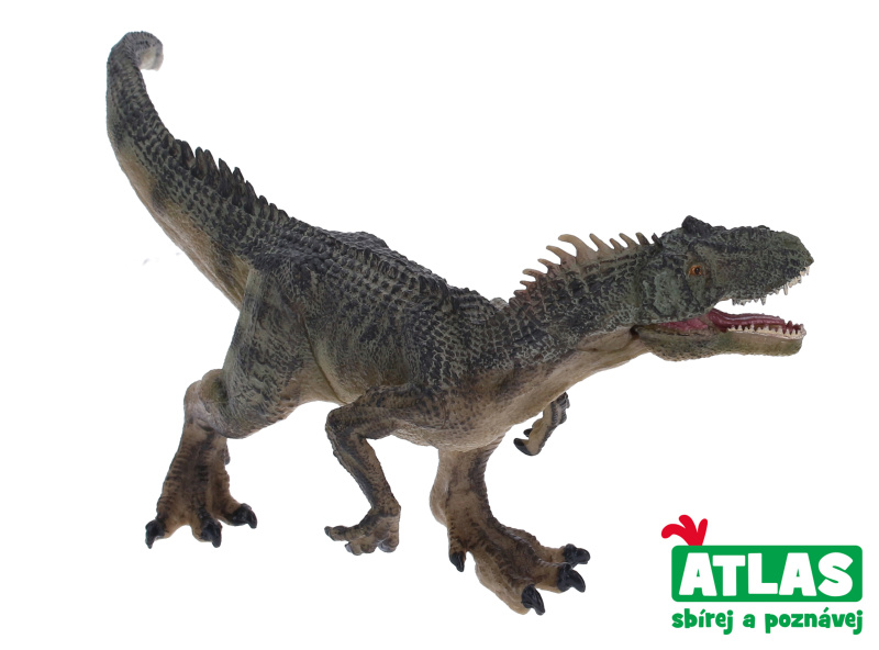Atlas F Torvosaurus 24 cm