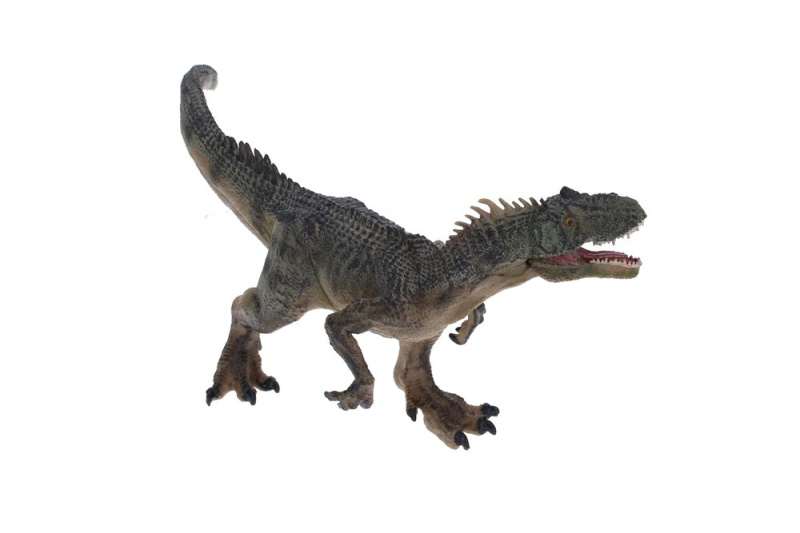 Atlas F Torvosaurus 24 cm