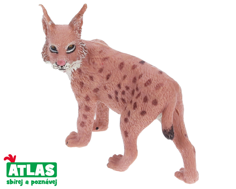 Atlas A Rys 7 cm