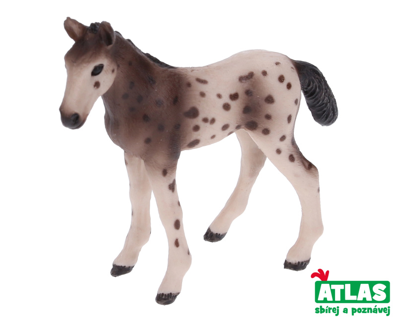 Atlas B Hříbě