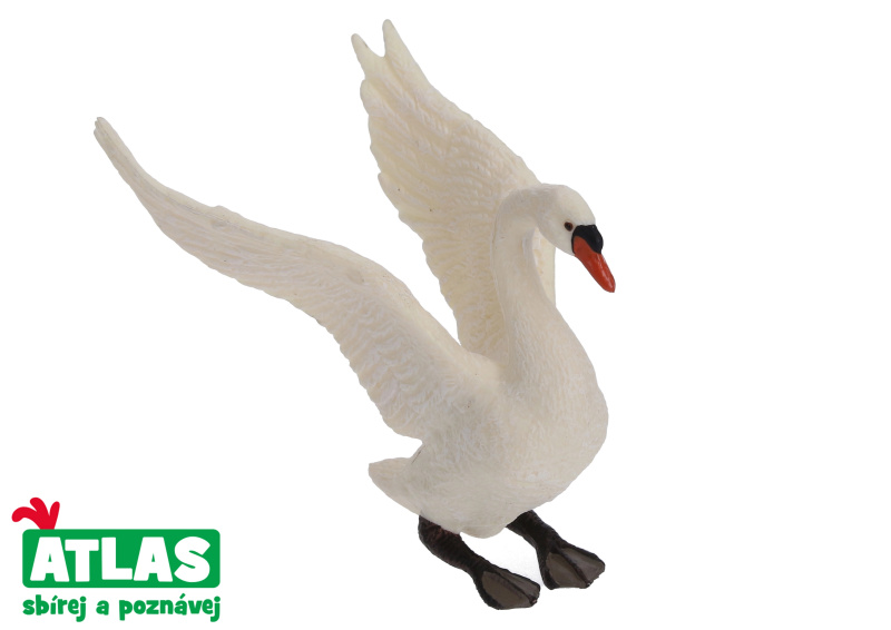 Atlas B Labuť