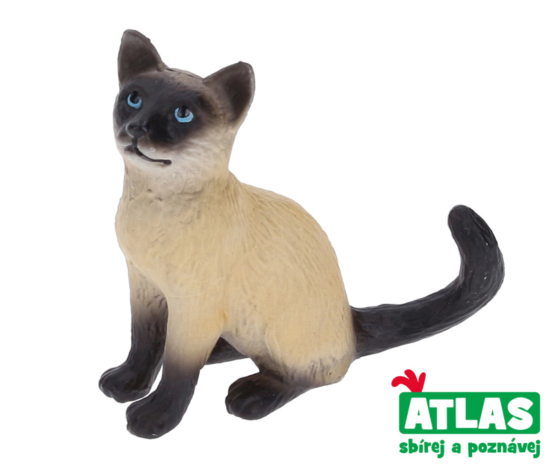 Atlas A Kočka