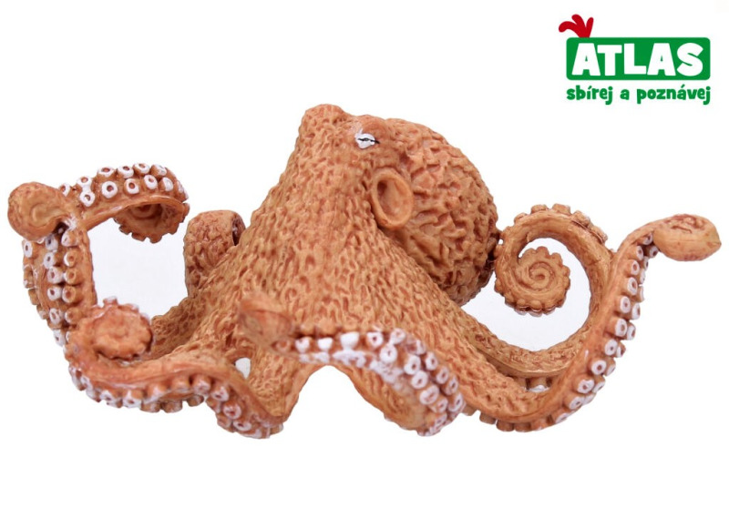 Atlas D Chobotnice