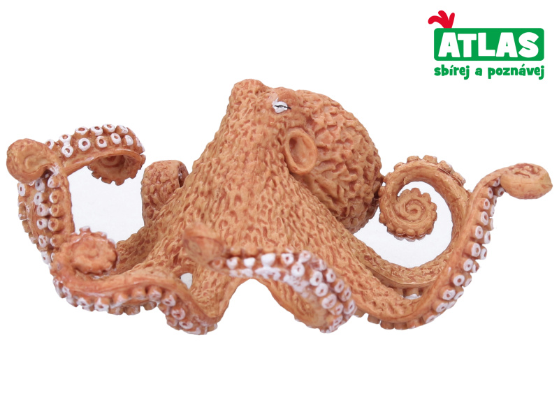 Atlas D Chobotnice