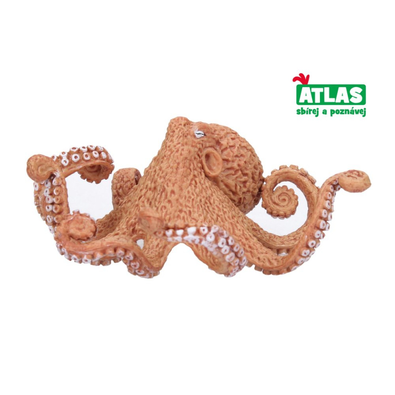 Atlas D Chobotnice