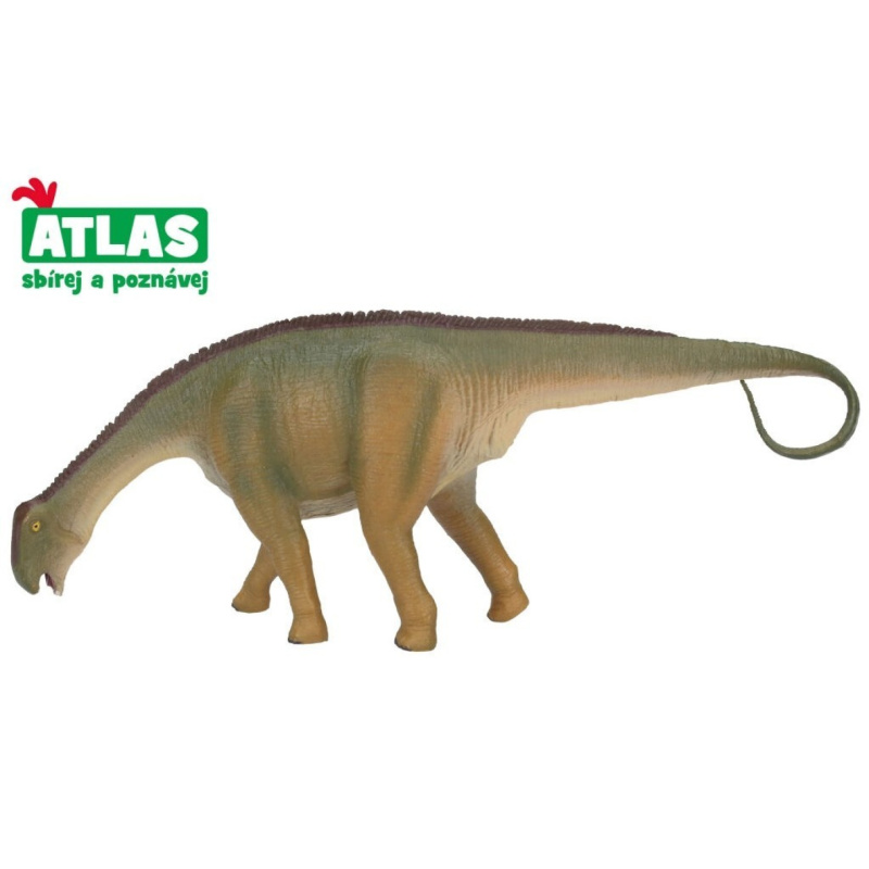 Atlas D Hadrosaurus 21 cm