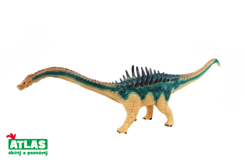Atlas Agustinia 33 cm