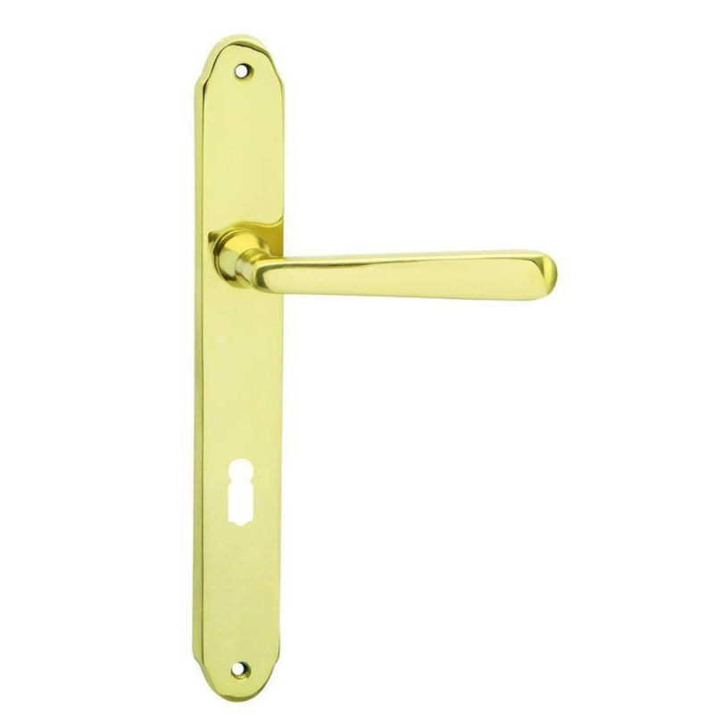 Cobra Štítové dveřní kování ALT-WIEN BB 72, lesklá mosaz