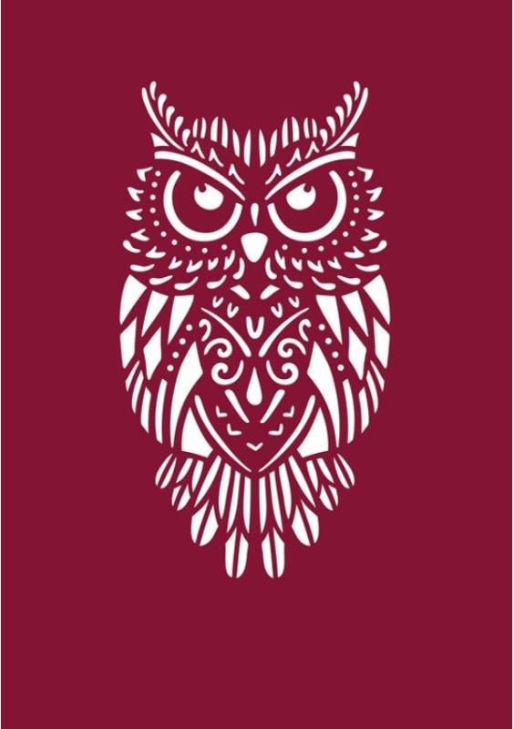 Složka na vysvědčení, motiv velká sova OPTYS, spol. s r.o.