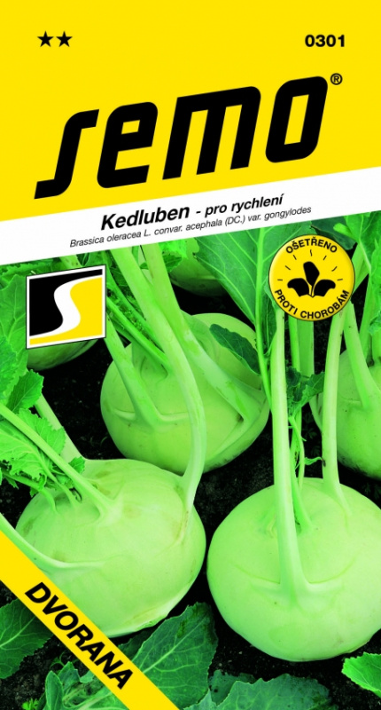SEMO Kedluben Dvorana