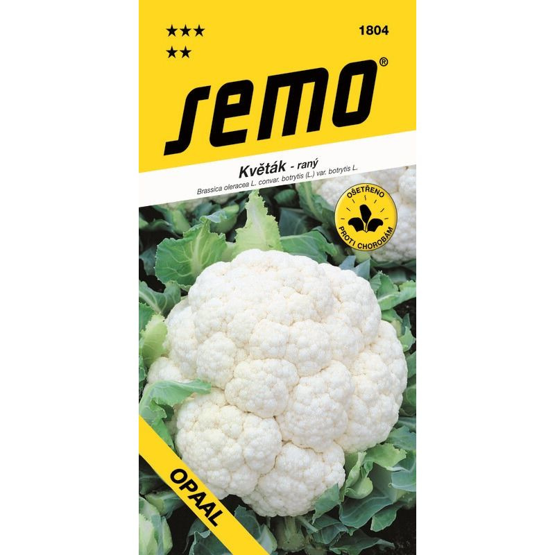 418042 Květák Jarní jarní Opaal 25s / 1407