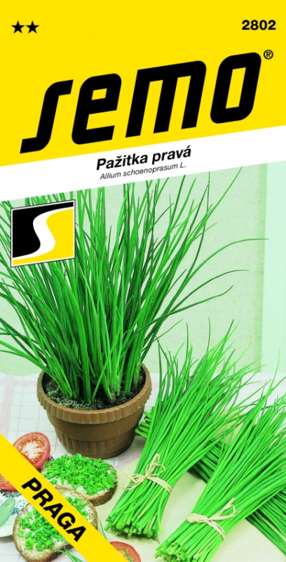 SEMO Pažitka