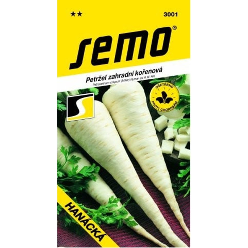 SEMO Petržel kořenová - HANÁCKÁ pozdní