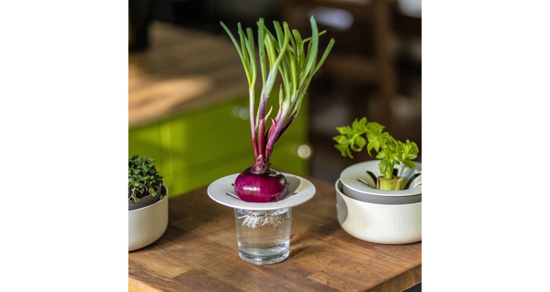 Plastia Víčko na Microgreens / Avokádo, slonová kost Balení: S kávovou sedlinou