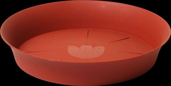 Podmiska Tulipán terakota Ø 14 cm