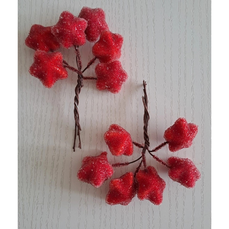 EverGreen Vánoční zapichovací dekorace hvězdičky červené pr. 2,5 cm, 12 ks