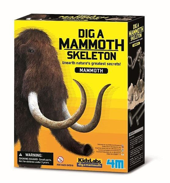 Kostra - Mamut