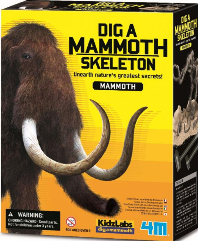 Kostra - Mamut