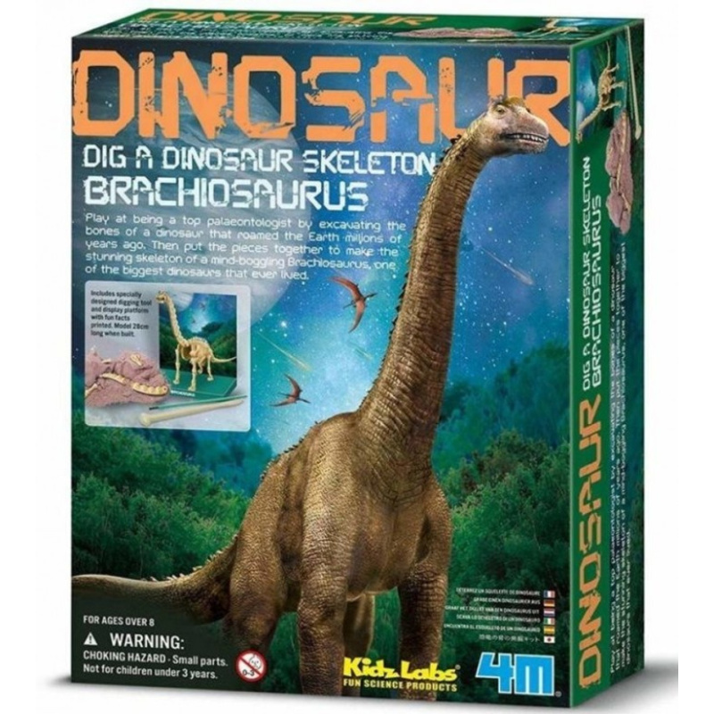 4M Dinosauří kostra - Brachiosaurus