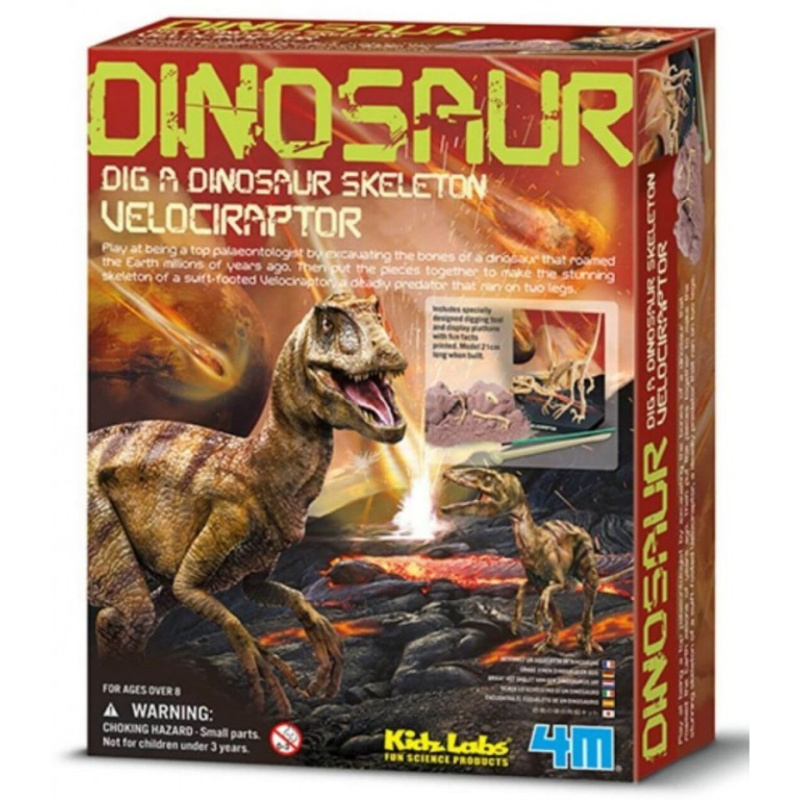4M Dinosauří kostra - Velociraptor