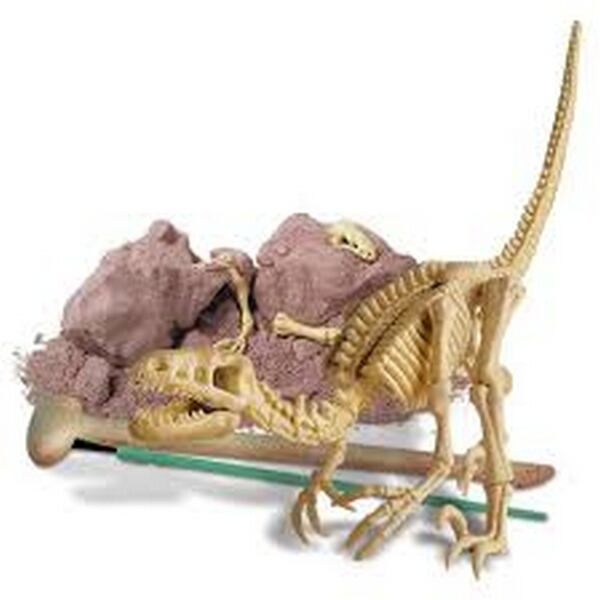 4M Dinosauří kostra - Velociraptor
