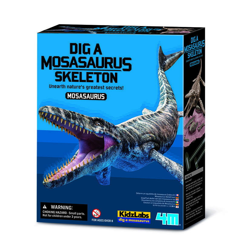 Kostra - Mosasaurus