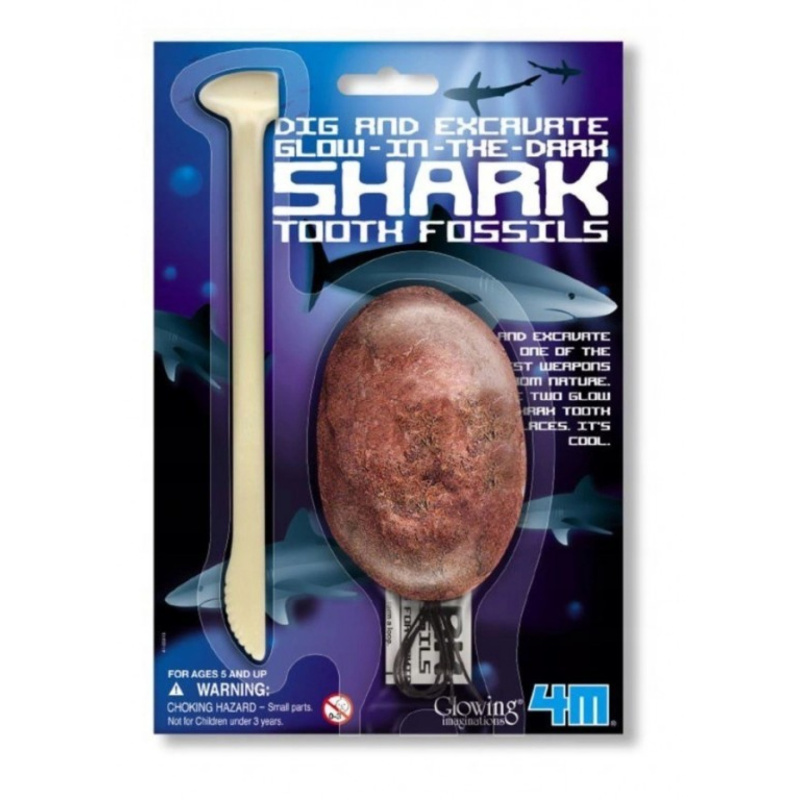 4M Kostra - žralok fosforeskující
