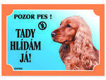 Tabulka DAFIKO kokr anglický zlatý 1 ks